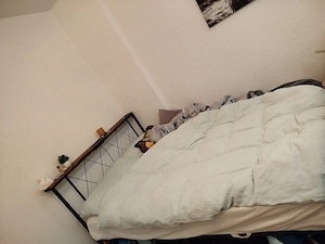 bett 140 mal 200