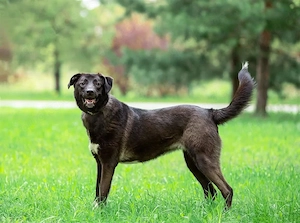 Betty will nur wärme und liebe...