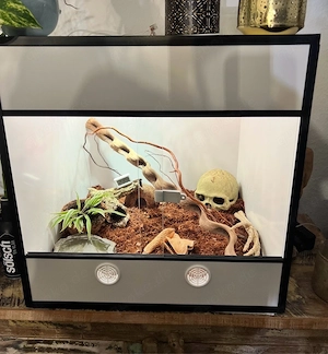 Kunststoff Terrarium 