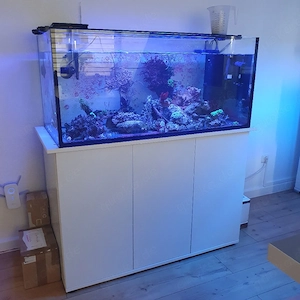 Meerwasser Aquarium ca 300l Komplett 