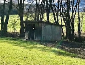 ER zeigt sich OUTDOOR - Zuschauerin gesucht