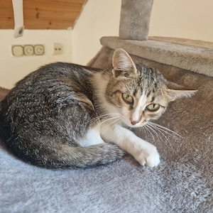 Topa + Tiagra suchen gemeinsames Zuhause