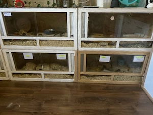 OSB Terrarium 100x50