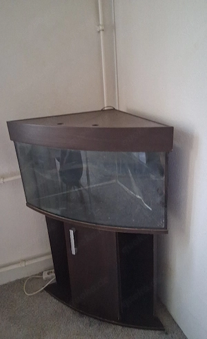 Aquarium für die Ecke