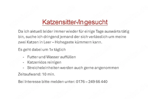 Katzensitter in Leer gesuch