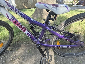 24 Zoll Scott Fahrrad 