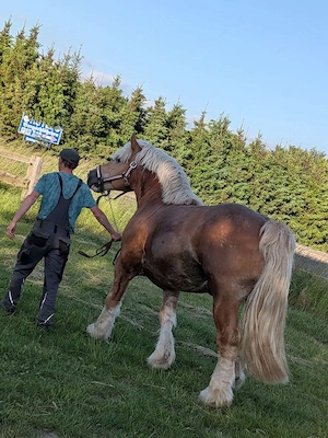 Deckanzeige Bild 3