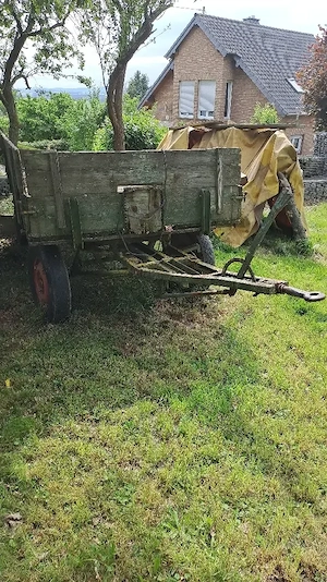Holzwagen für landwirtschafte Nutzung