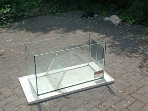 Aquarium mit Abtrennung