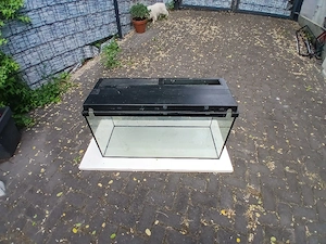 Aquarium Becken Bild 5