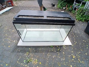 Aquarium Becken