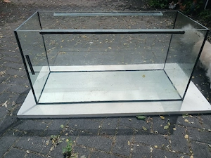 Aquarium Becken Bild 3