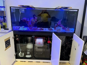 RedSea G3 525 Meerwasser Aquarium