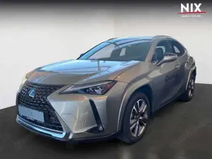 Lexus UX 300e Entry + Luxury-Paket + HUD