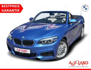 BMW 218 218i M Sport LED HarmanKardon Navi Sitzheizung