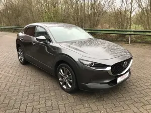 Mazda CX-30 SKYACTIV-X 6AG SELECTION Bild 3