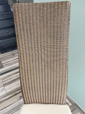 Esszimmerschwingstühle Bild 3