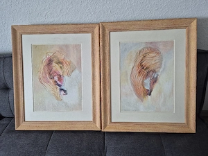 Bilder,  zwei Stück 
