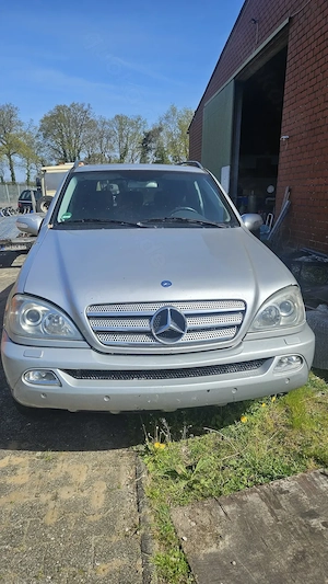 ML 500   163 Spitzenauto mit LPG und einem Marderschaden Bild 4