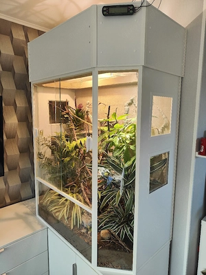 Terrarium Chamäleon 