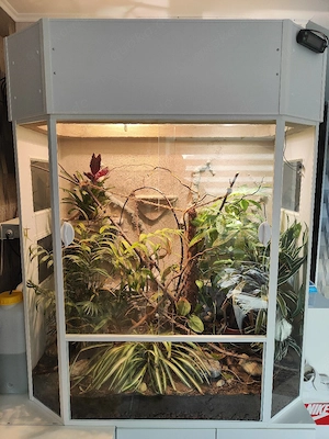 Terrarium Chamäleon  Bild 2