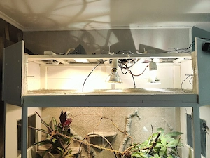 Terrarium Chamäleon  Bild 4