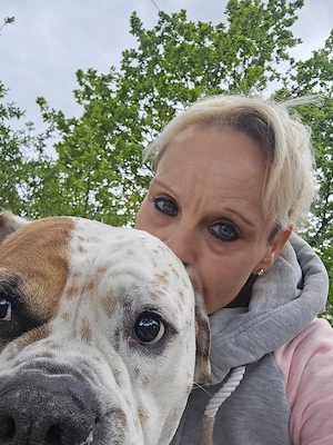 Boxer mischling abzugeben.