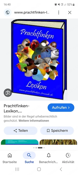 Ich Suche Prachtfinken 