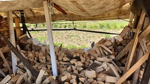Esche Brennholz Bild 2