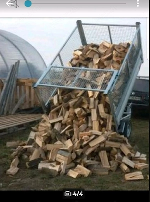 Esche Brennholz Bild 4
