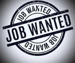 Job als Frachtführer mit Klasse B gesucht?