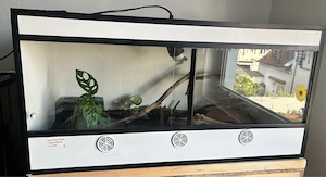 PVC Terrarium 80x40x40 mit Glasschiebetüren