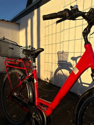 Pegasus Damen E-Bike