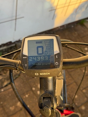 Pegasus Damen E-Bike