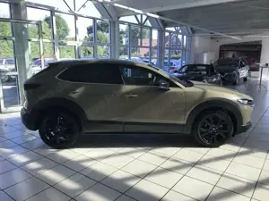 Mazda CX-30 Homura 2.5L 140ps *ACC/KAMERA/SHZ/ACAA* Bild 4