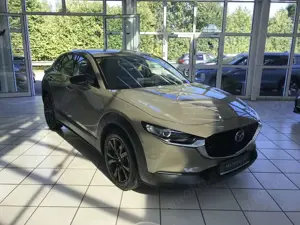 Mazda CX-30 Homura 2.5L 140ps *ACC/KAMERA/SHZ/ACAA* Bild 3
