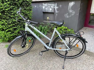 Railight Oakland Damenfahrrad XXL