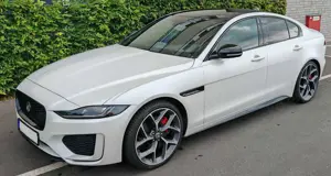 Jaguar XE XE P300 AWD Aut. Sport -Garantie-