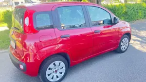 Fiat Panda Panda 1.2 inkl 12 Monate Garantie tüv05/2028 Bild 4