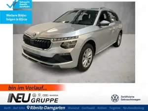 Skoda Kamiq Selection 1.0 TSI DSG ACC RFK S-LRHzg