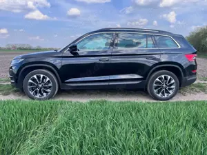 Skoda Kodiaq Kodiaq Diesel 2.0 TDI 4x4 DSG Drive 125
