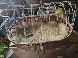 Hundefahrradkorb