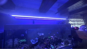 eheim Led + 