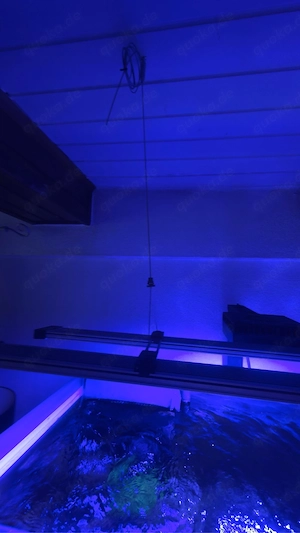 eheim Led +  Bild 2