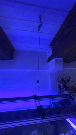eheim Led +  Bild 4