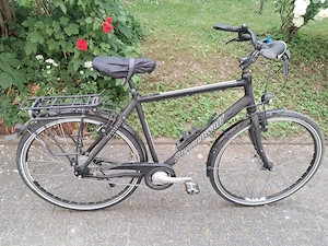 Herrenfahrrad Steppenwolf Tiago zu verkaufen