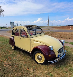 Citroen 2CV - Dolly Bild 5