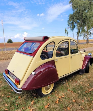 Citroen 2CV - Dolly Bild 4