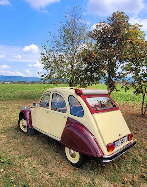 Citroen 2CV - Dolly Bild 3