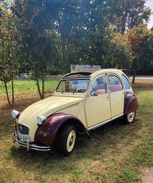 Citroen 2CV - Dolly Bild 2